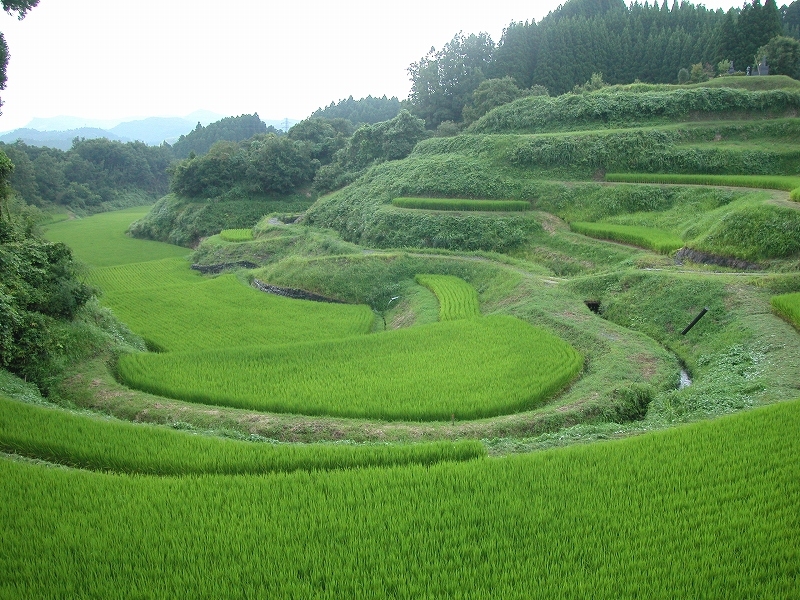 文化的景観の保全対策 通潤用水・下井出水路（熊本県山都町）