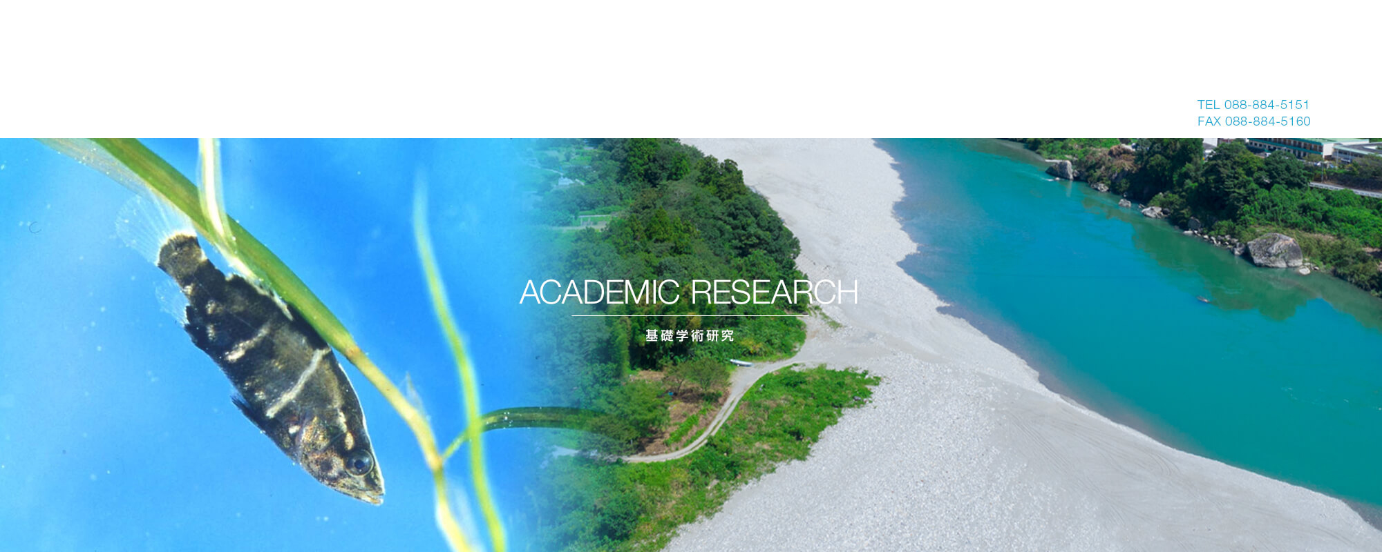 基礎学術研究